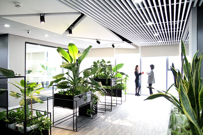 Văn phòng xanh luôn là mơ ước của mọi nhân viên bởi không khí trong lành và cảm giác thư giãn, tăng năng suất công việc. Chúng tôi cung cấp các giải pháp và trang thiết bị văn phòng xanh, mang đến không gian làm việc thỏa mái và thân thiện với môi trường.