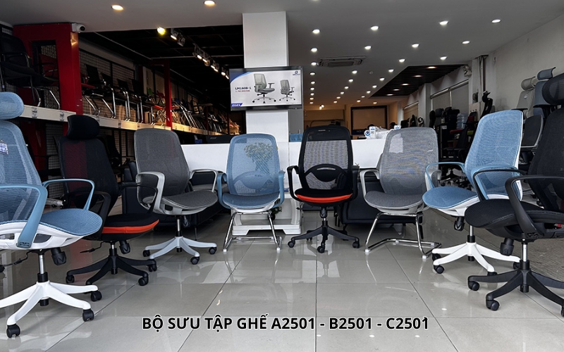 Bộ sưu tập ghế A2501 