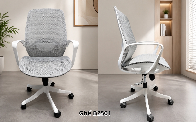Ghế B2501 mang phong cách hiện đại